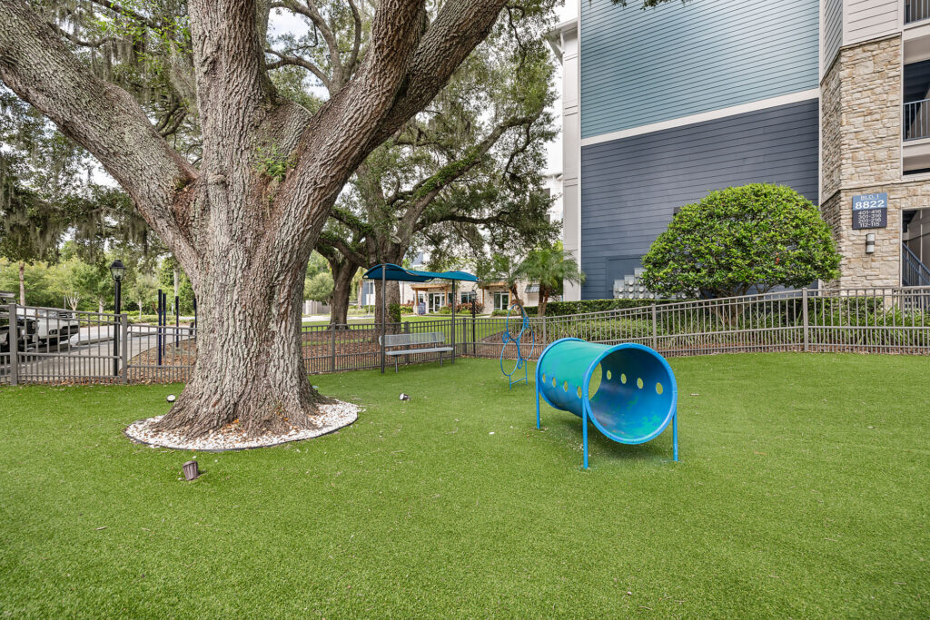 A fenced grassy area with a large tree, blue tunnel, shaded benches, and a nearby building. The space appears to be a pet or dog play area.