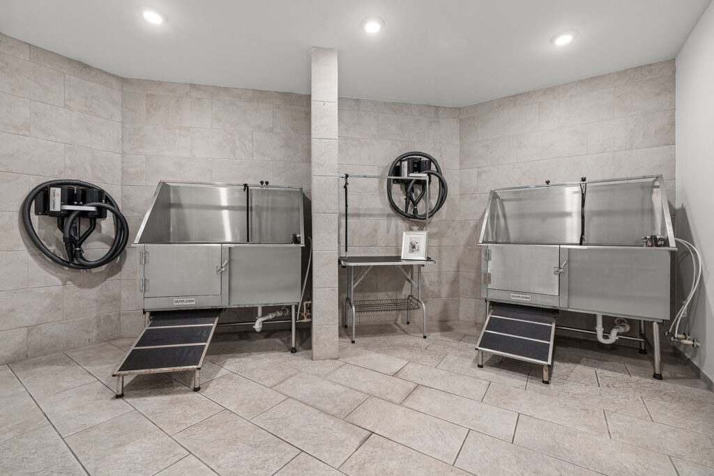 Two stainless steel pet washing stations with black ramps and hoses are set against tiled walls. A small table with a picture frame is positioned between the stations. The area appears clean and modern.